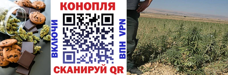 купить закладку Курганинск Cannafood конопля