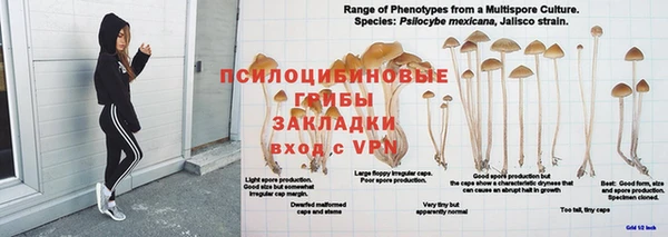 каннабис Алексеевка