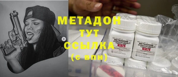хмурый Алексин