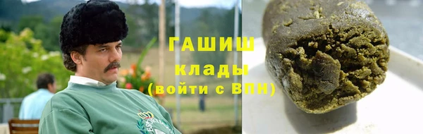 хмурый Алексин