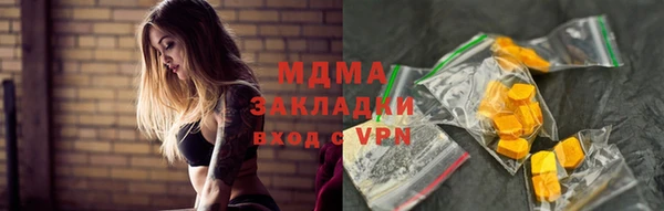 хмурый Алексин