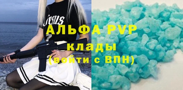 хмурый Алексин