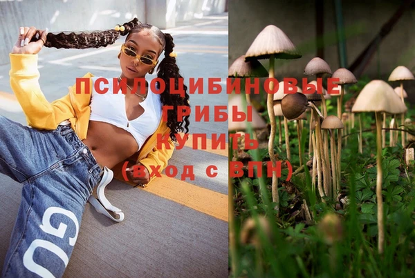 каннабис Алексеевка